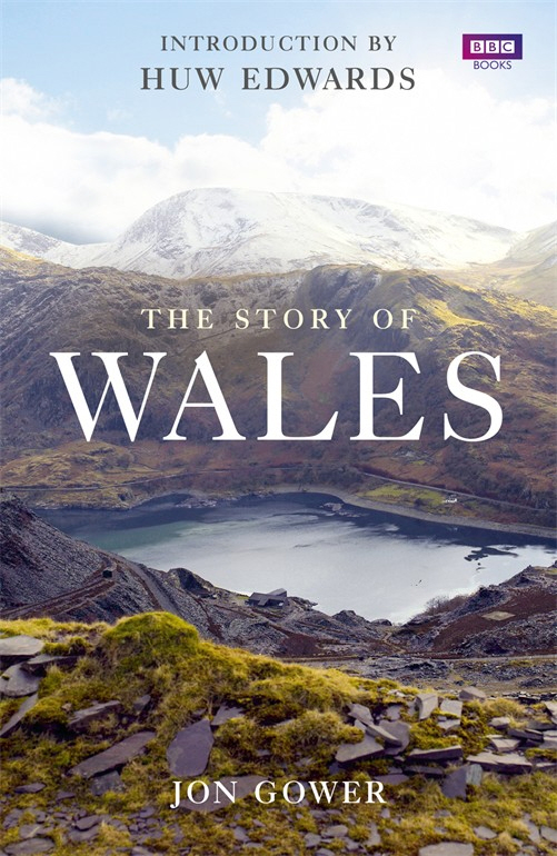 The Story of Wales (book) by Jon Gower review