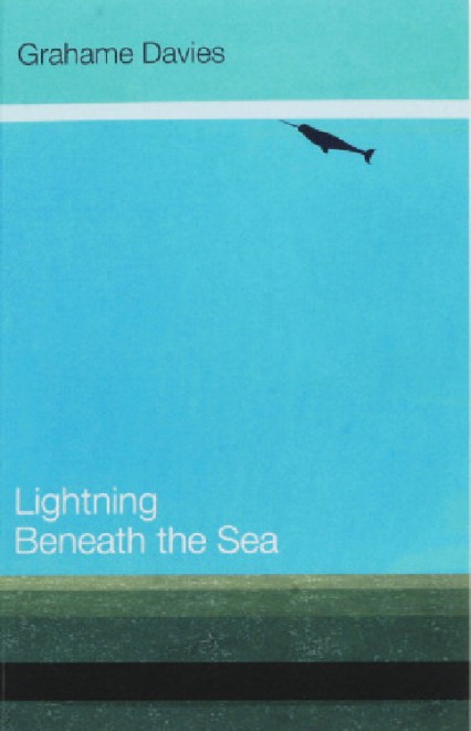 Lightning Beneath the Sea By Grahame Davies review