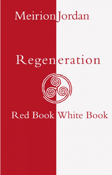 Regeneration by Meirion Jordan review