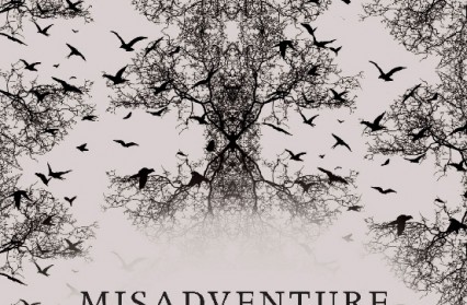 Misadventure by Richard Meier review