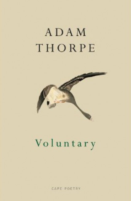 Voluntary by Adam Thorpe review