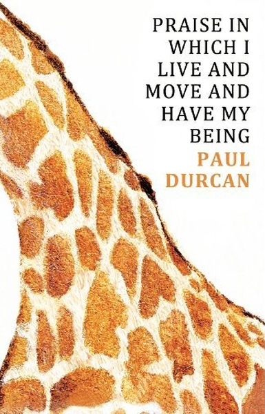 Praise in Which I Live and Move and Have My Being by Paul Durcan review
