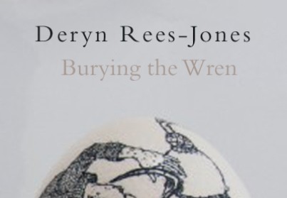 Burying the Wren by Deryn Rees-Jones review