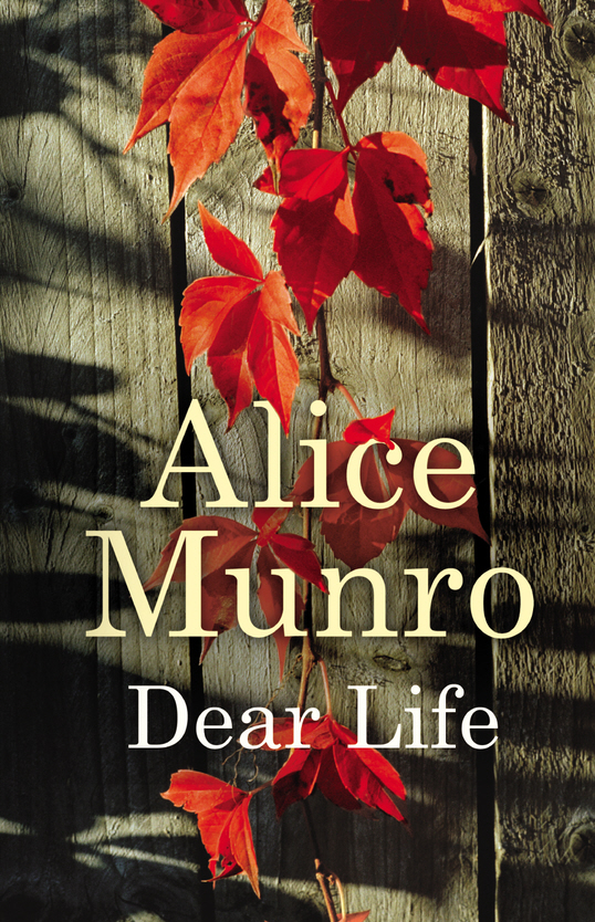 Dear Life by Alice Munro review