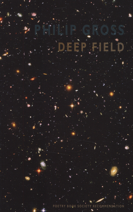 Deep Field by Phillip Gross review
