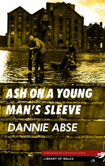 Ash on a young man's sleeve review Abse