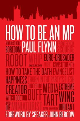How to be an MP review