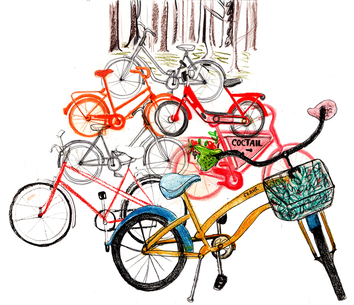 14_group of bikes