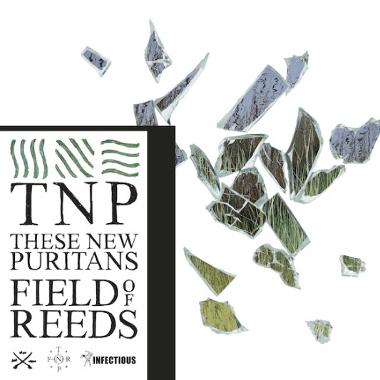 Field of Reeds by These New Puritans Infectious Records