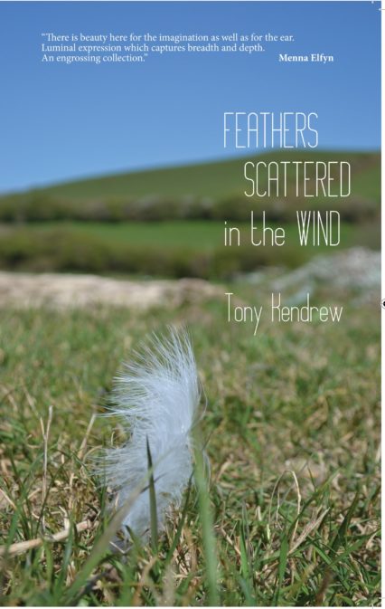 Feathers Scattered in the Wind by Tony Kendrew