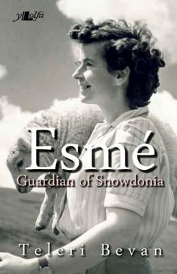 Esme Guardian of Snowdonia by Teleri Bevan
