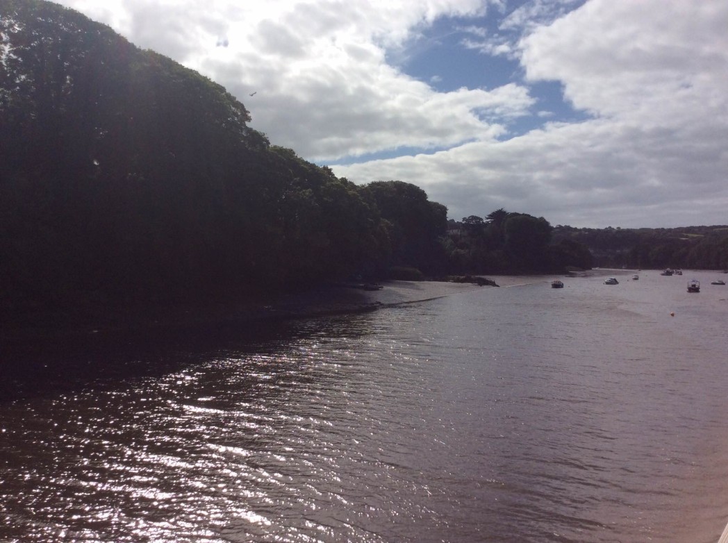 The river Teifi, as seen from The River's Edge.