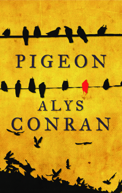 Alys Conran Pigeon