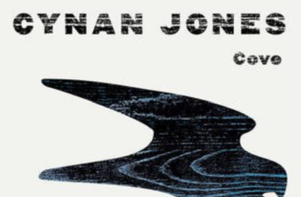 Cove by Cynan Jones book cover
