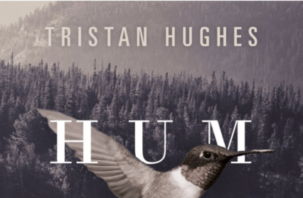 Hummingbird Tristan Hughes