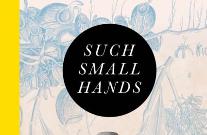 Such Small Hands by Andres Barba | Books