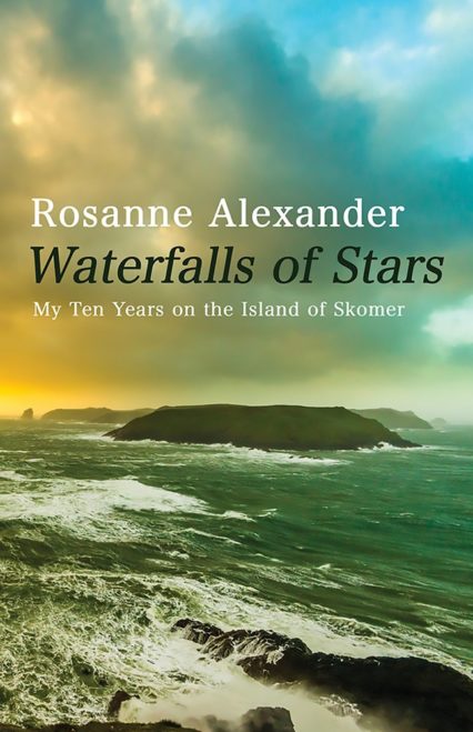 Waterfalls of Stars by Roseanne Alexander