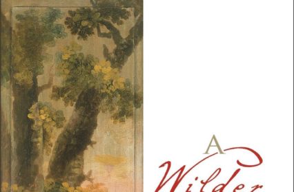 A Wilder Wales by David Lloyd Owen | Books
