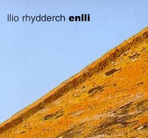 Enlli by Llio Rhydderch