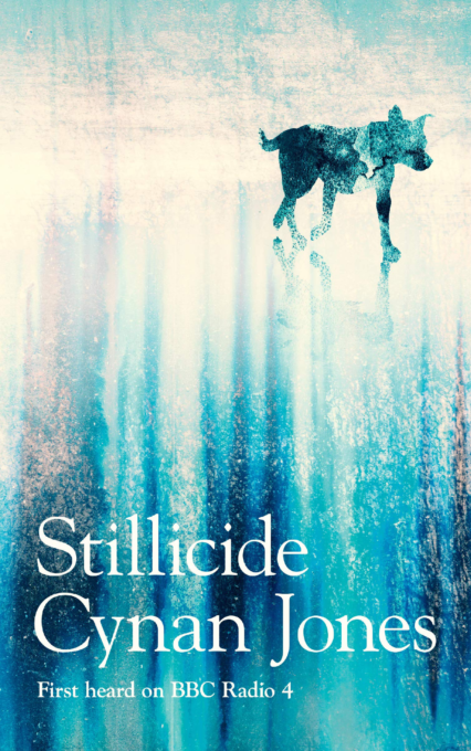 stillicide Cynan Jones book cover