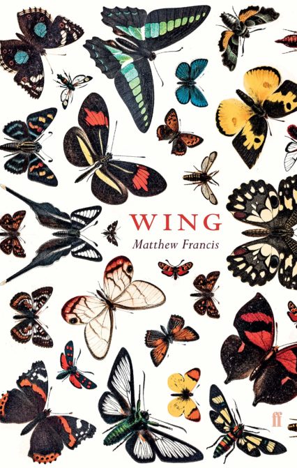Wing by Matthew Francis book cover