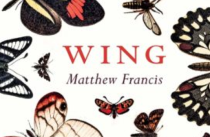 Wing by Matthew Francis book cover