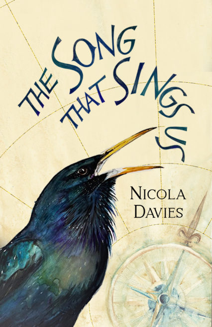 books for young people, nicola davies