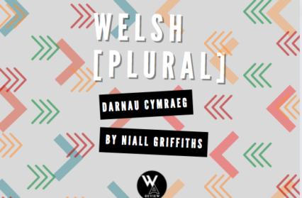 Welsh [Plural] | Darnau Cymraeg by Niall Griffiths