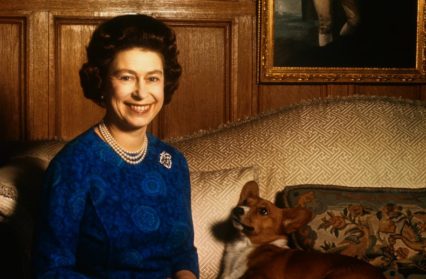 The Queen, Welsh Corgis, the Prince of Wales, and the SEO Nightmare.